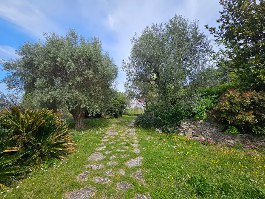 Immagine 5 di Rustico / casale in vendita  in VIA SASSONI a Cinto Euganeo