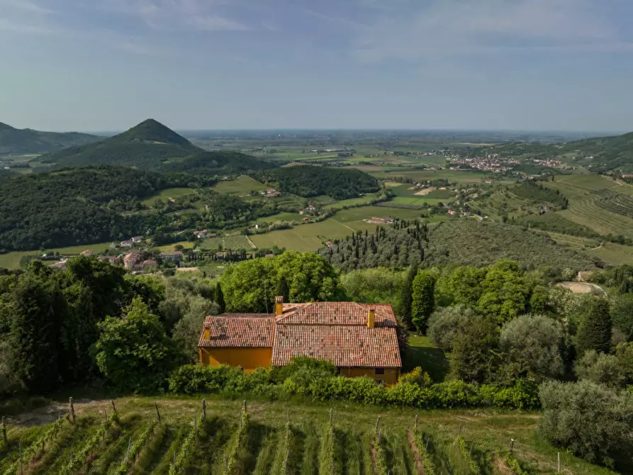 Immagine 8 di Rustico / casale in vendita  in VIA SASSONI a Cinto Euganeo
