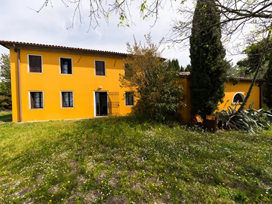 Immagine 9 di Rustico / casale in vendita  in VIA SASSONI a Cinto Euganeo