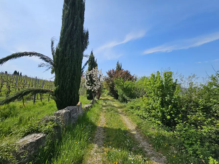 Immagine 10 di Rustico / casale in vendita  in VIA SASSONI a Cinto Euganeo
