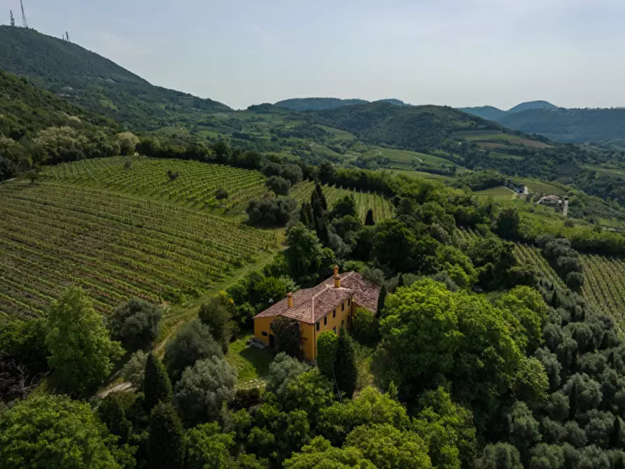 Immagine 13 di Rustico / casale in vendita  in VIA SASSONI a Cinto Euganeo