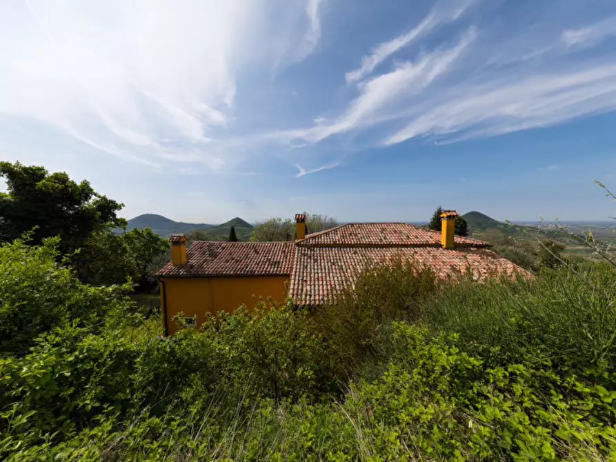 Immagine 15 di Rustico / casale in vendita  in VIA SASSONI a Cinto Euganeo