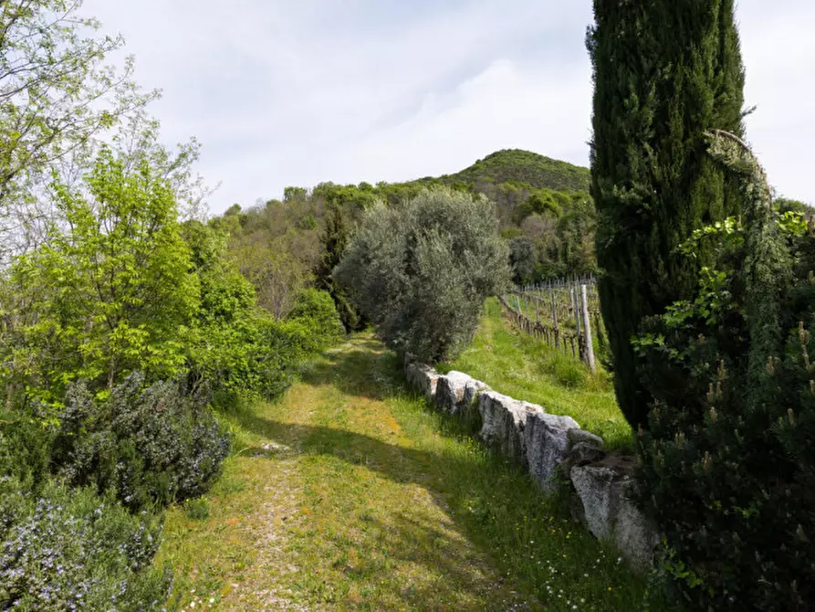 Immagine 16 di Rustico / casale in vendita  in VIA SASSONI a Cinto Euganeo