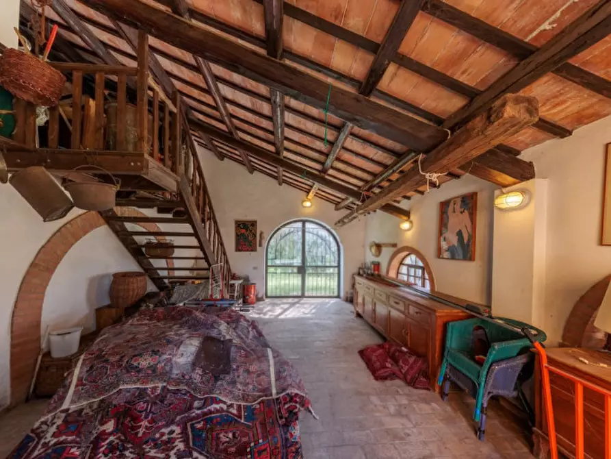 Immagine 16 di Rustico / casale in vendita  in VIA SASSONI a Cinto Euganeo