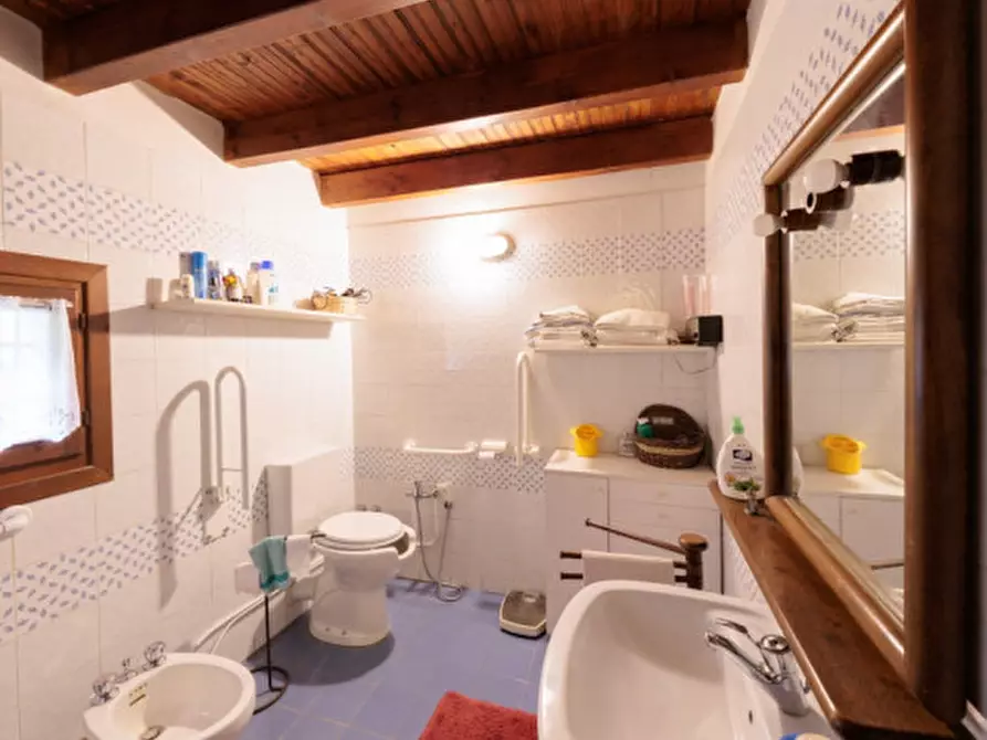 Immagine 21 di Rustico / casale in vendita  in VIA SASSONI a Cinto Euganeo