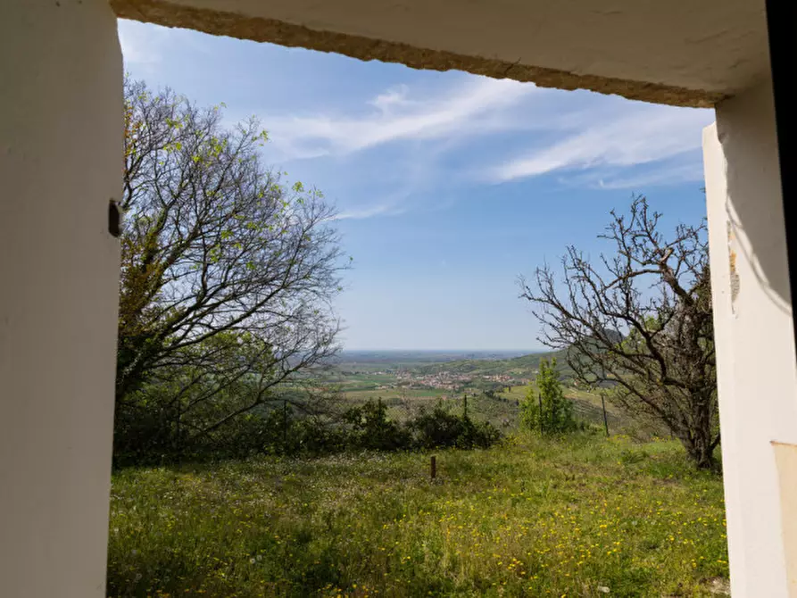 Immagine 25 di Rustico / casale in vendita  in VIA SASSONI a Cinto Euganeo