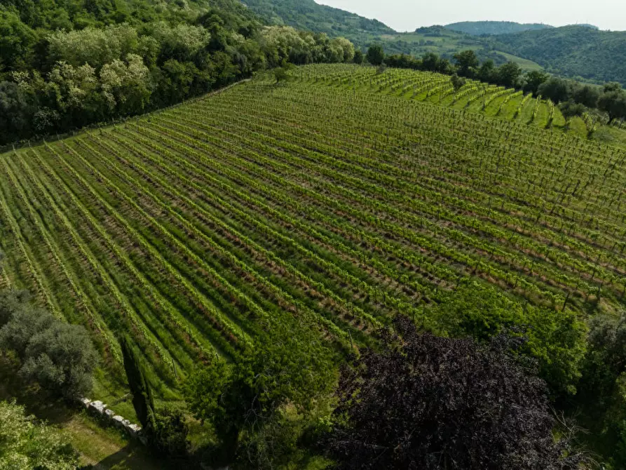 Immagine 25 di Rustico / casale in vendita  in VIA SASSONI a Cinto Euganeo