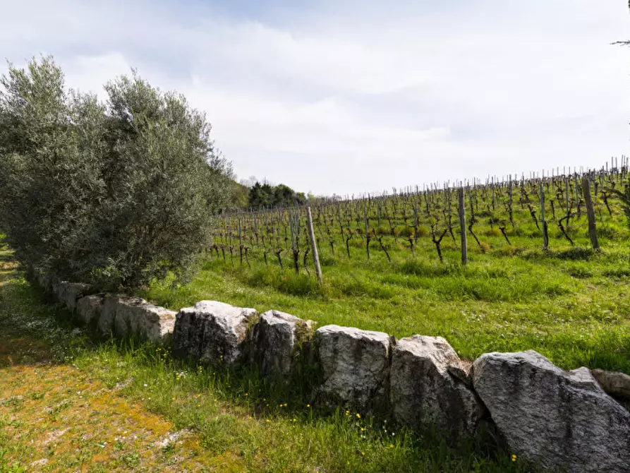 Immagine 27 di Rustico / casale in vendita  in VIA SASSONI a Cinto Euganeo