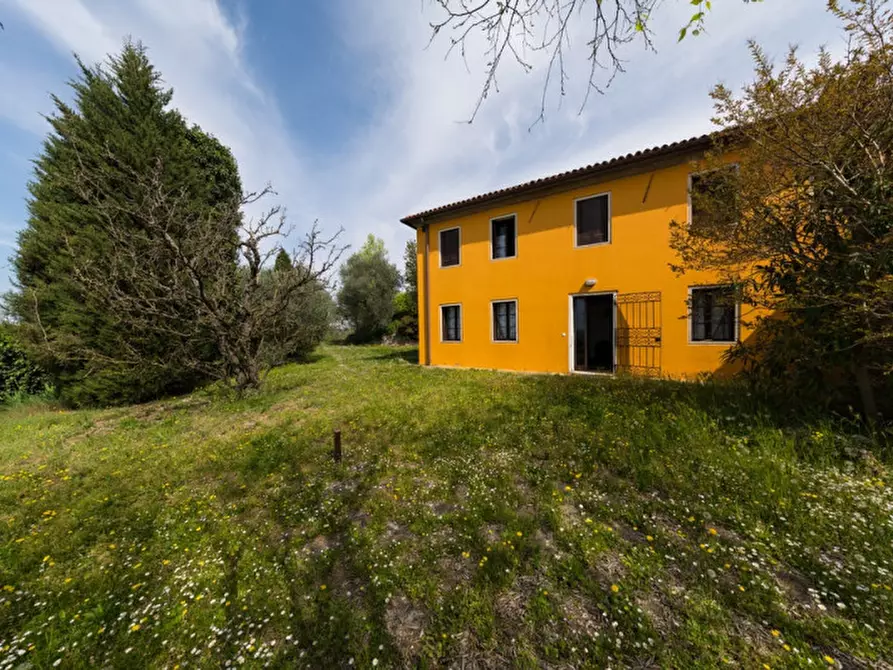 Immagine 28 di Rustico / casale in vendita  in VIA SASSONI a Cinto Euganeo