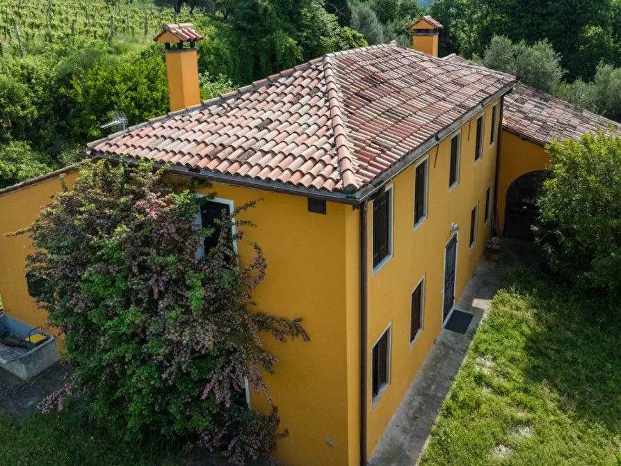 Immagine 30 di Rustico / casale in vendita  in VIA SASSONI a Cinto Euganeo