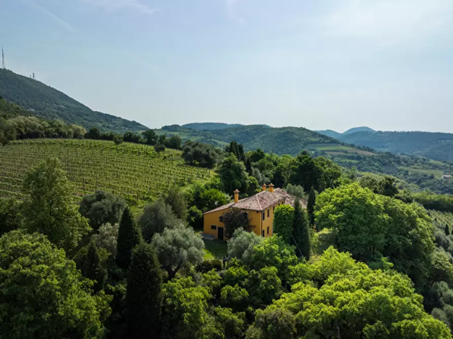 Immagine 31 di Rustico / casale in vendita  in VIA SASSONI a Cinto Euganeo