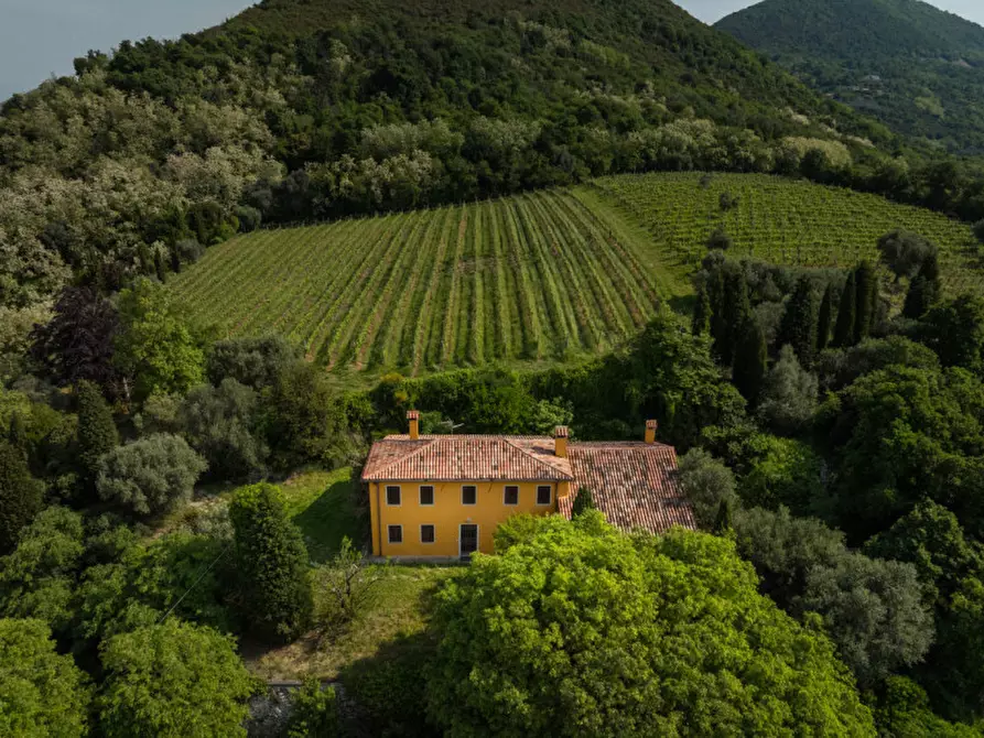Immagine 32 di Rustico / casale in vendita  in VIA SASSONI a Cinto Euganeo