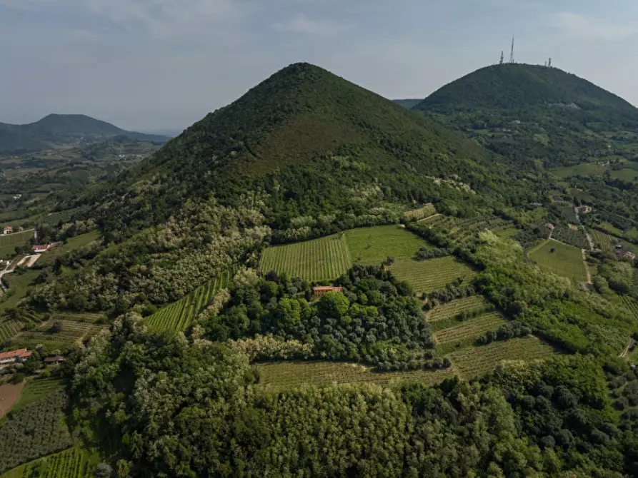 Immagine 33 di Rustico / casale in vendita  in VIA SASSONI a Cinto Euganeo