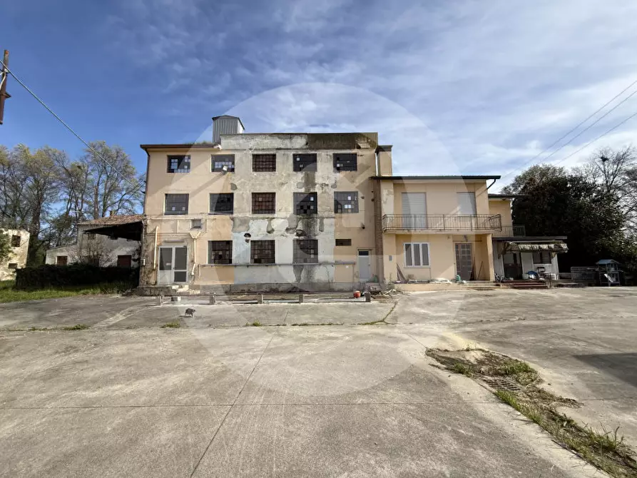 Immagine 2 di Magazzino in vendita  a Piombino Dese