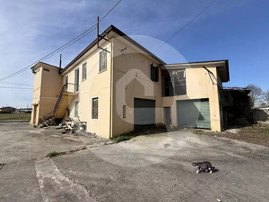 Immagine 3 di Magazzino in vendita  a Piombino Dese