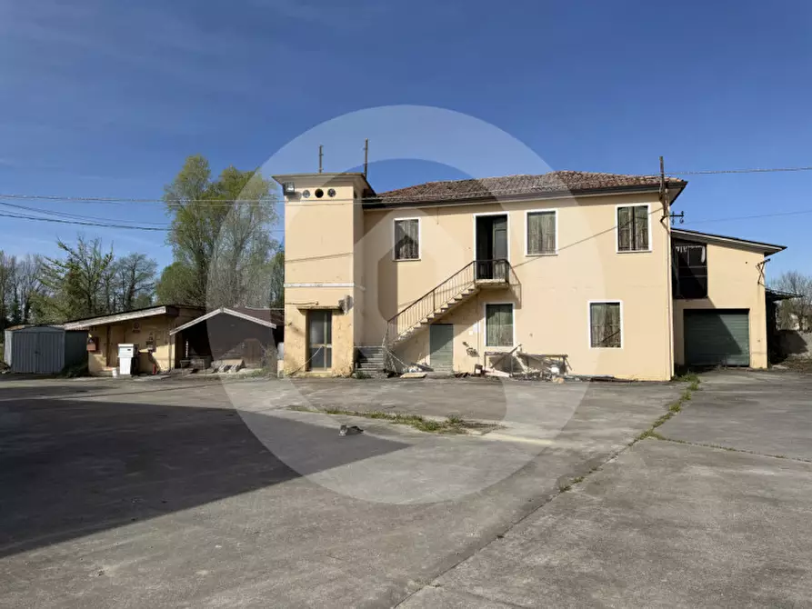 Immagine 4 di Magazzino in vendita  a Piombino Dese
