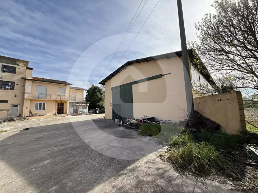 Immagine 6 di Magazzino in vendita  a Piombino Dese