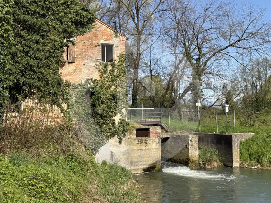 Immagine 8 di Magazzino in vendita  a Piombino Dese