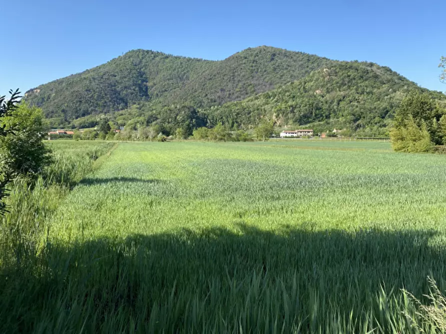 Immagine 1 di Terreno in vendita  in Via Savellon Retratto a Monselice