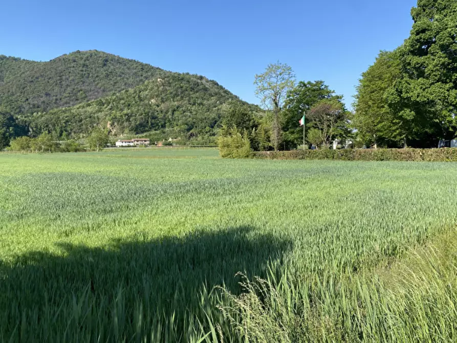Immagine 3 di Terreno in vendita  in Via Savellon Retratto a Monselice