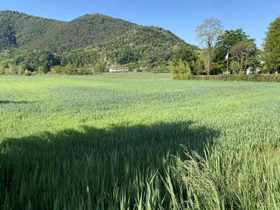 Immagine 4 di Terreno in vendita  in Via Savellon Retratto a Monselice