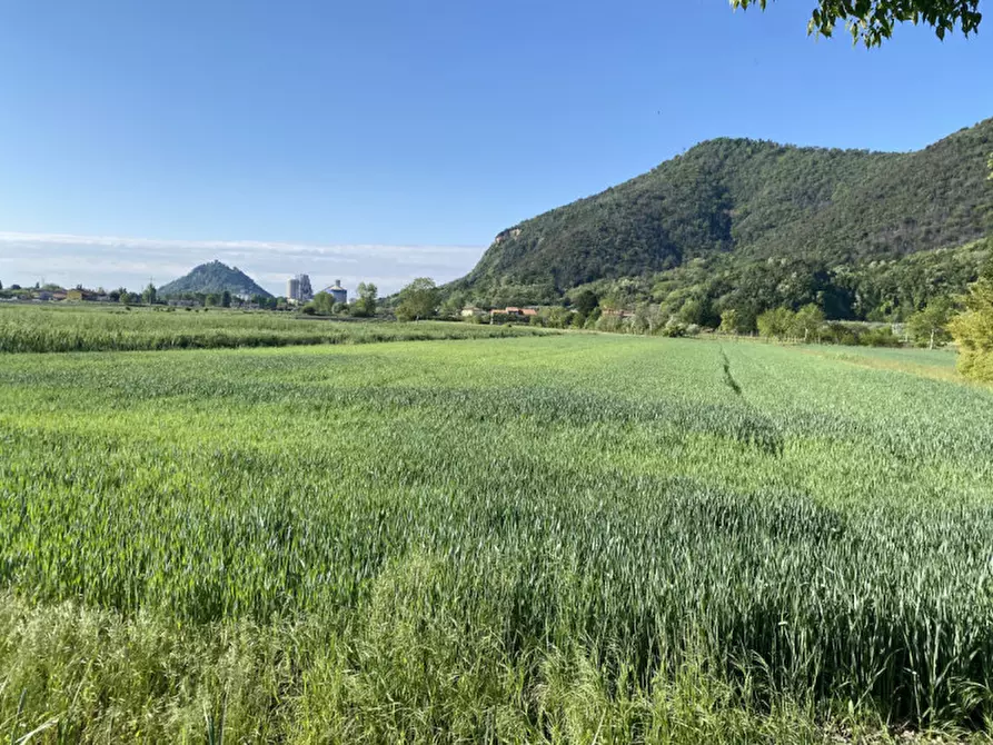 Immagine 5 di Terreno in vendita  in Via Savellon Retratto a Monselice