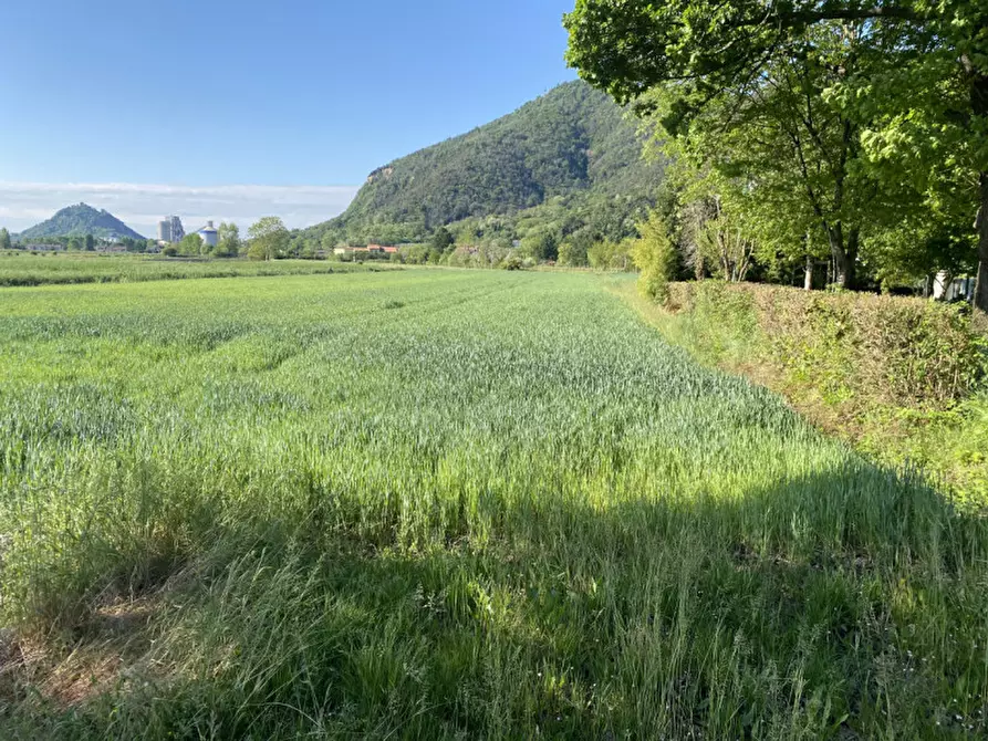 Immagine 6 di Terreno in vendita  in Via Savellon Retratto a Monselice