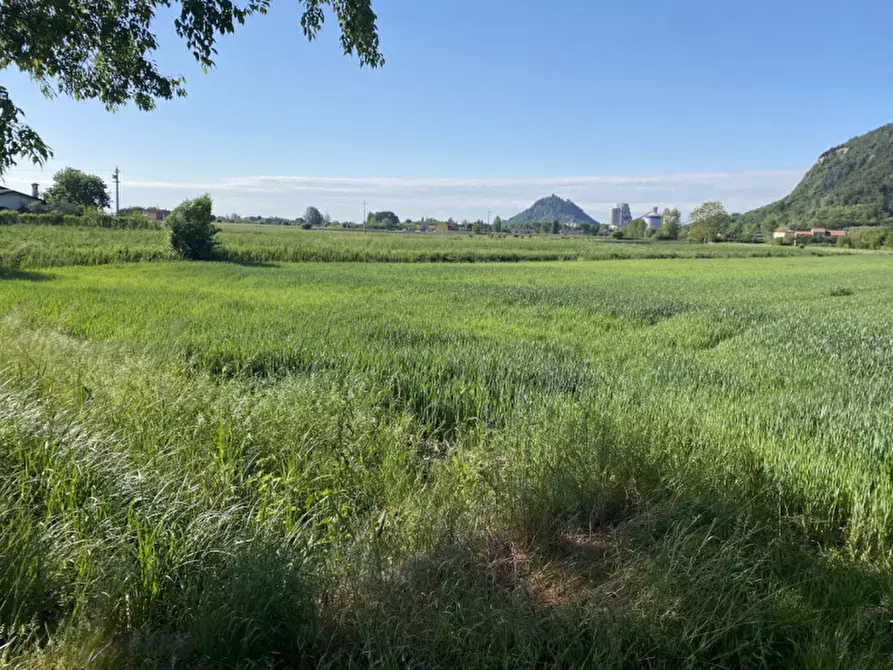 Immagine 7 di Terreno in vendita  in Via Savellon Retratto a Monselice