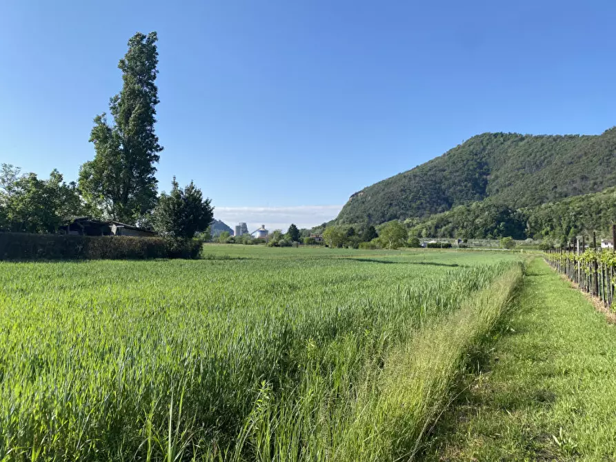 Immagine 8 di Terreno in vendita  in Via Savellon Retratto a Monselice