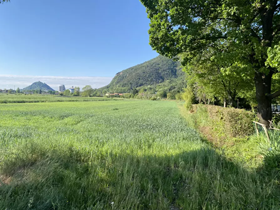Immagine 9 di Terreno in vendita  in Via Savellon Retratto a Monselice