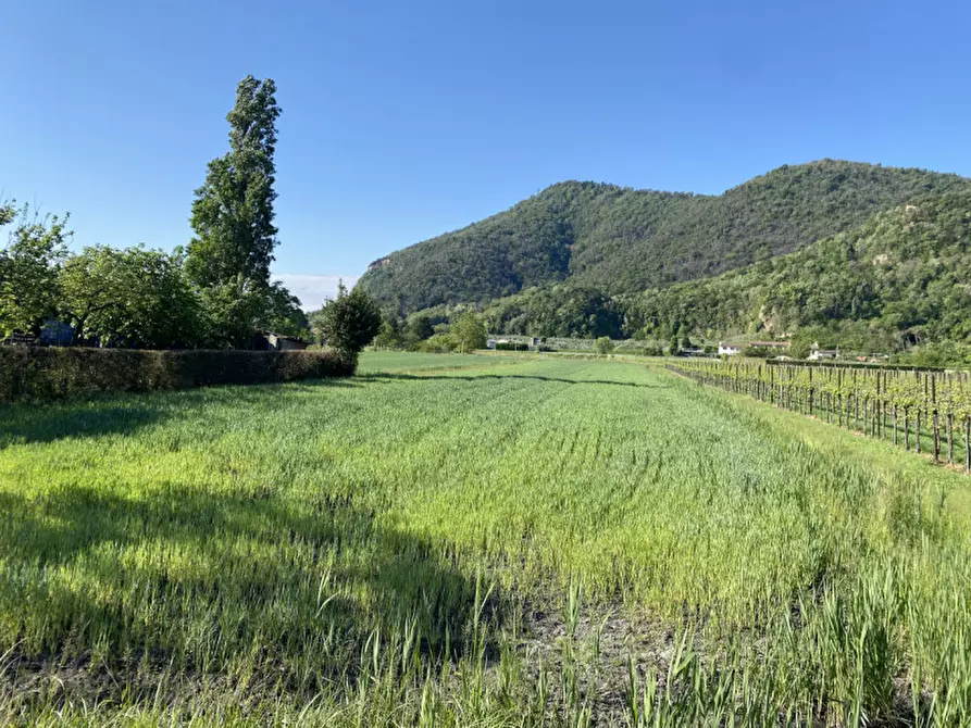 Immagine 10 di Terreno in vendita  in Via Savellon Retratto a Monselice