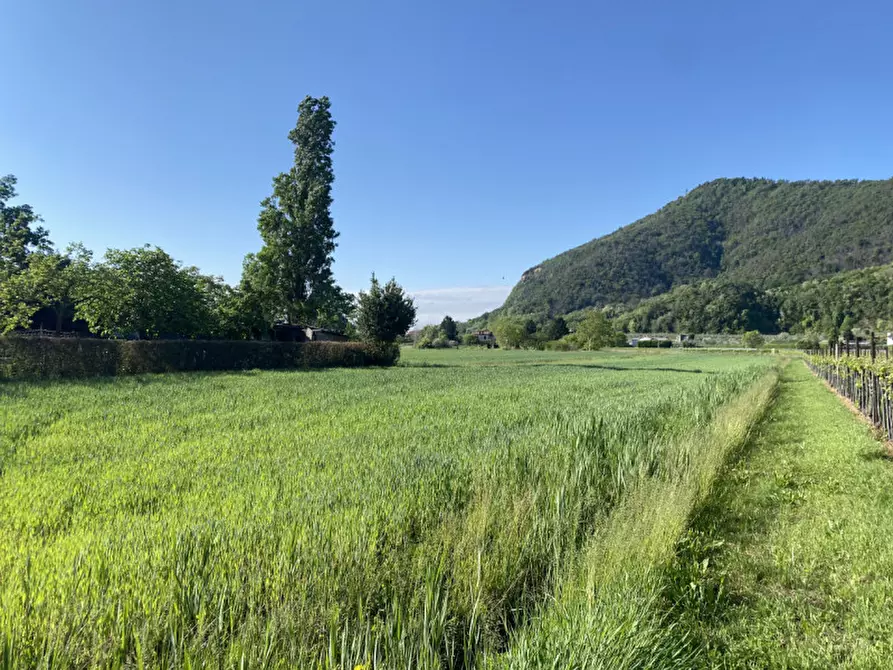 Immagine 11 di Terreno in vendita  in Via Savellon Retratto a Monselice