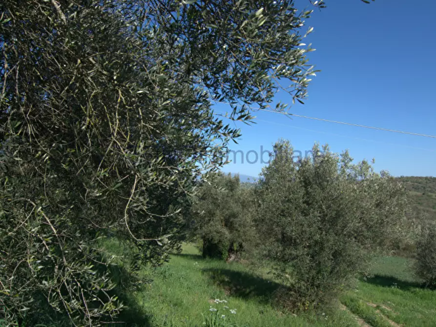 Immagine 17 di Rustico / casale in vendita  a Perugia
