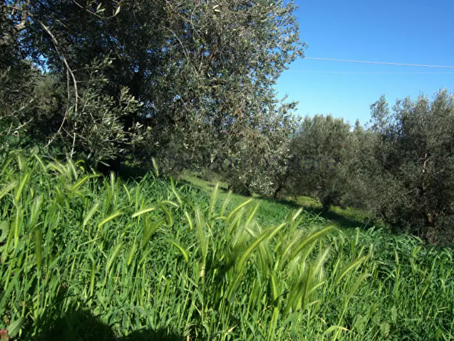 Immagine 18 di Rustico / casale in vendita  a Perugia