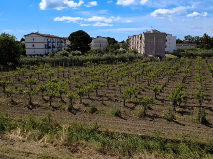 Immagine 1 di Terreno in vendita  in viale orazio flacco a Bernalda