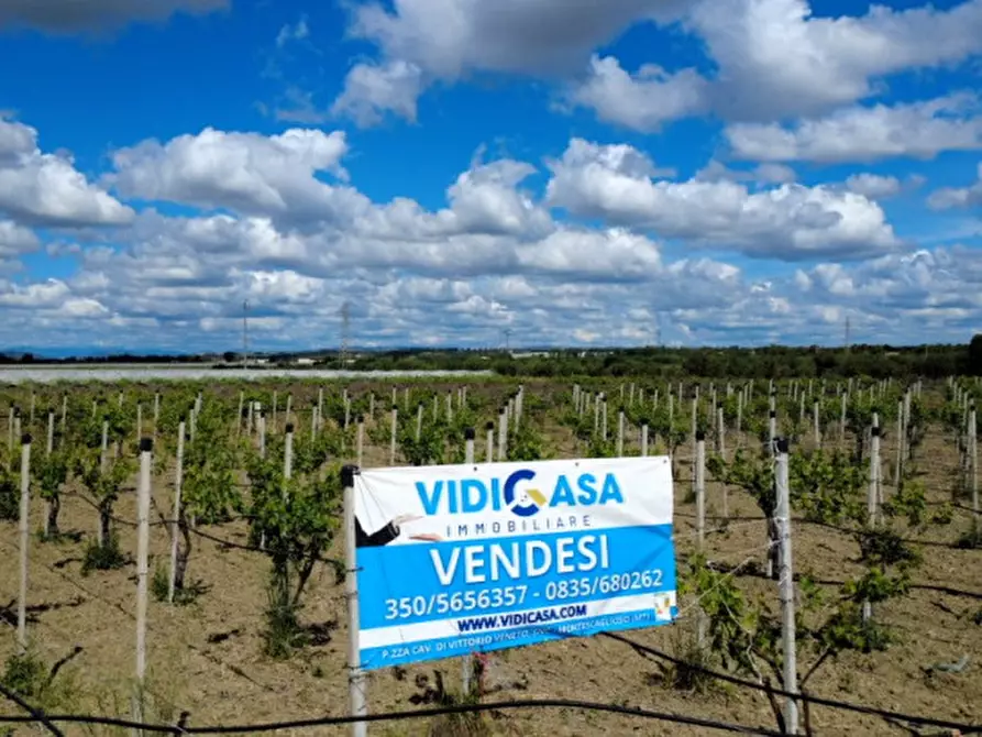 Immagine 5 di Terreno in vendita  in viale orazio flacco a Bernalda