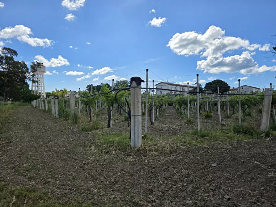 Immagine 13 di Terreno in vendita  in viale orazio flacco a Bernalda
