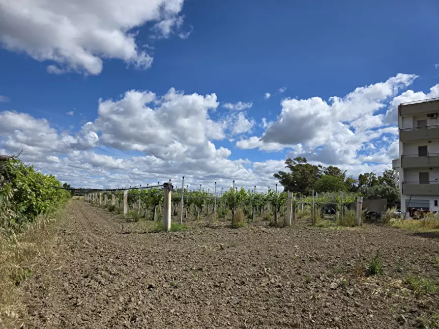 Immagine 14 di Terreno in vendita  in viale orazio flacco a Bernalda