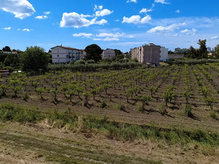 Immagine 17 di Terreno in vendita  in viale orazio flacco a Bernalda