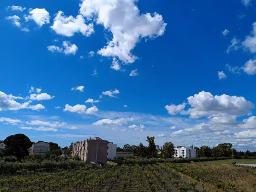 Immagine 19 di Terreno in vendita  in viale orazio flacco a Bernalda