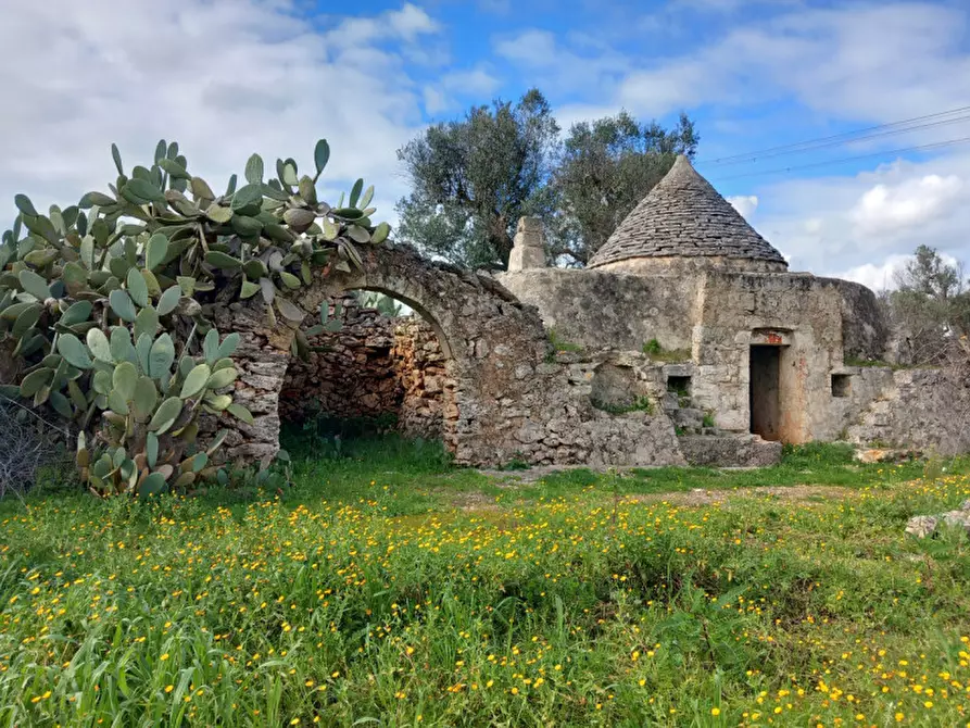Immagine 2 di Rustico / casale in vendita  in C.da Sardella a San Michele Salentino