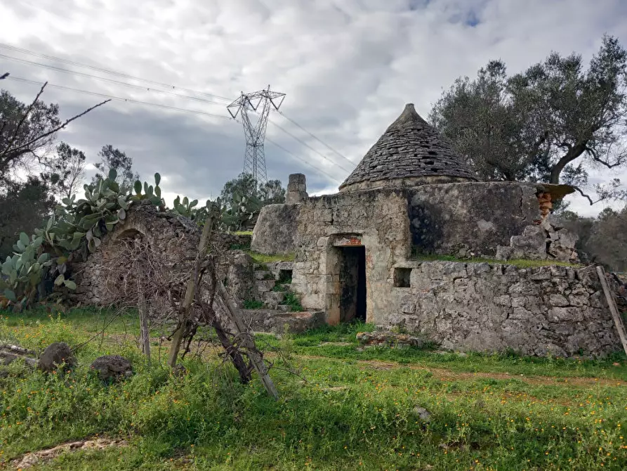 Immagine 5 di Rustico / casale in vendita  in C.da Sardella a San Michele Salentino
