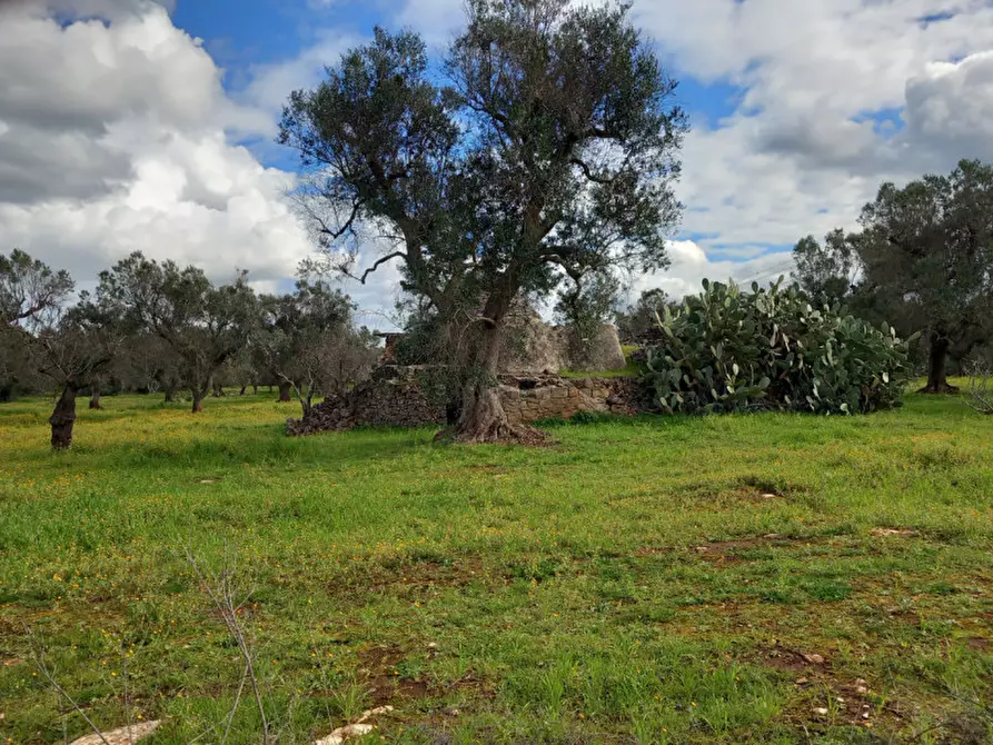 Immagine 6 di Rustico / casale in vendita  in C.da Sardella a San Michele Salentino