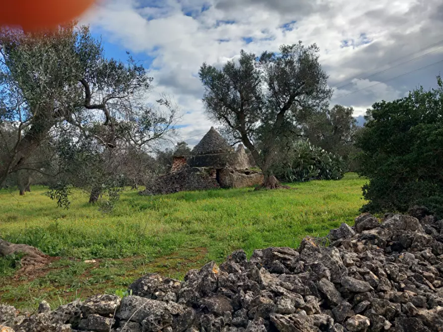 Immagine 7 di Rustico / casale in vendita  in C.da Sardella a San Michele Salentino