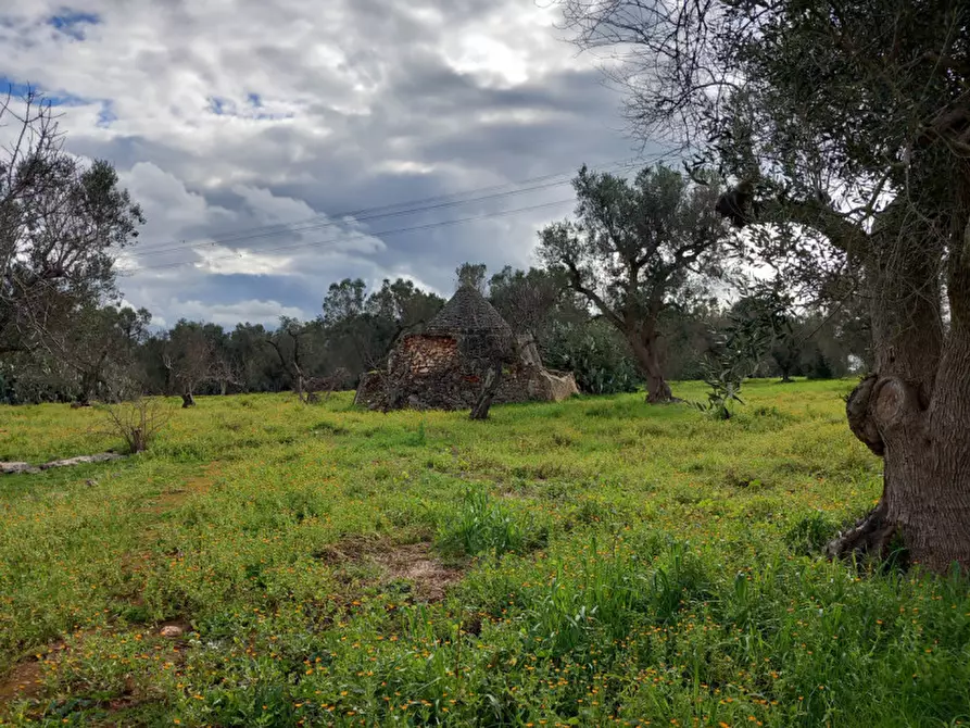 Immagine 9 di Rustico / casale in vendita  in C.da Sardella a San Michele Salentino
