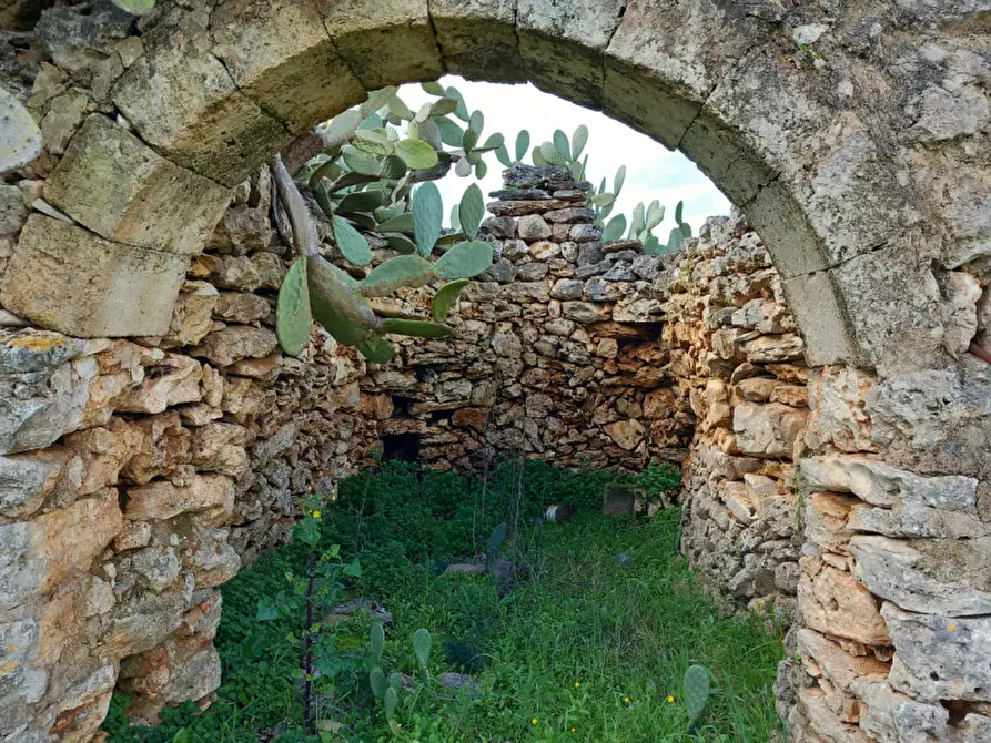 Immagine 13 di Rustico / casale in vendita  in C.da Sardella a San Michele Salentino