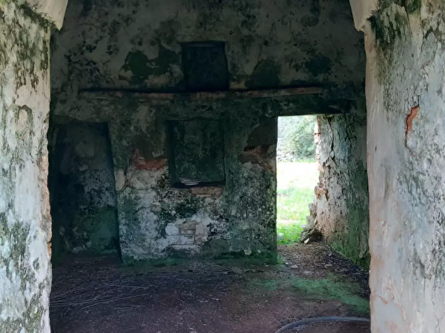 Immagine 14 di Rustico / casale in vendita  in C.da Sardella a San Michele Salentino