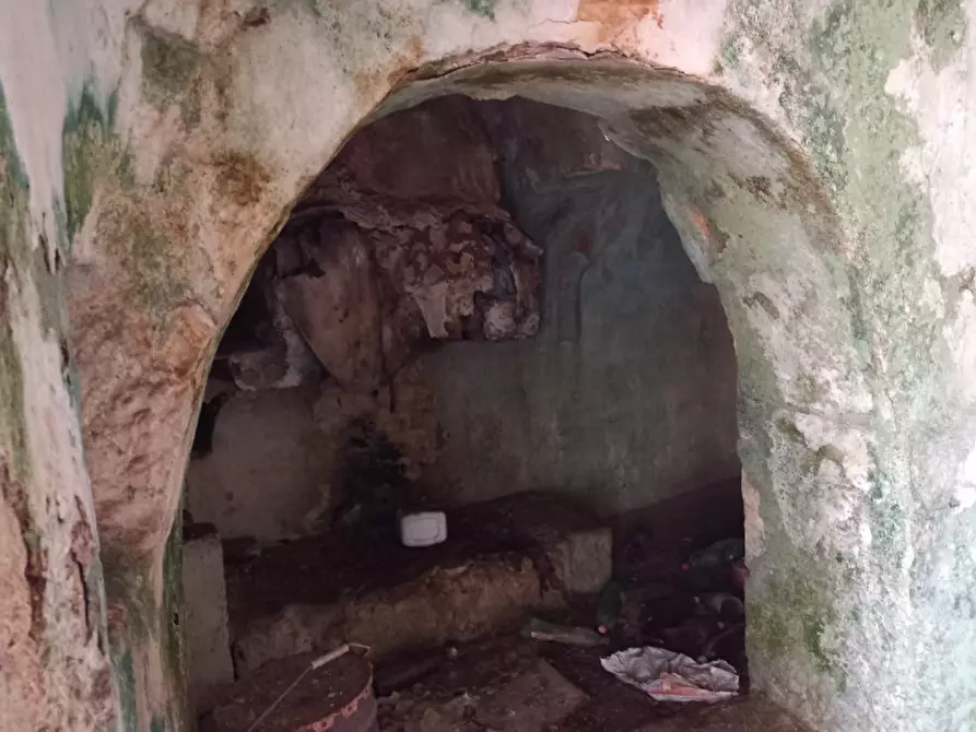 Immagine 15 di Rustico / casale in vendita  in C.da Sardella a San Michele Salentino