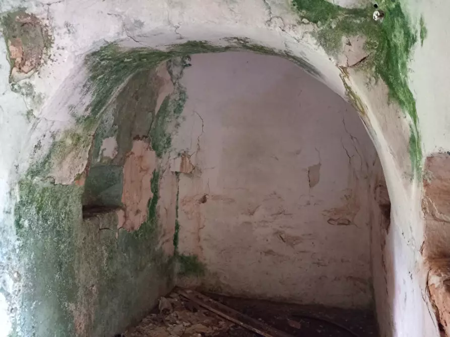Immagine 16 di Rustico / casale in vendita  in C.da Sardella a San Michele Salentino