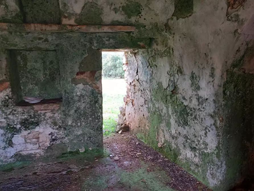 Immagine 17 di Rustico / casale in vendita  in C.da Sardella a San Michele Salentino